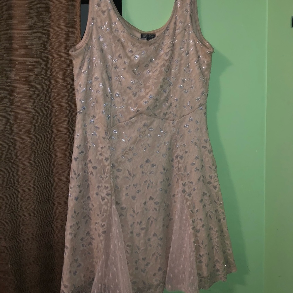 champagne pink skater dress